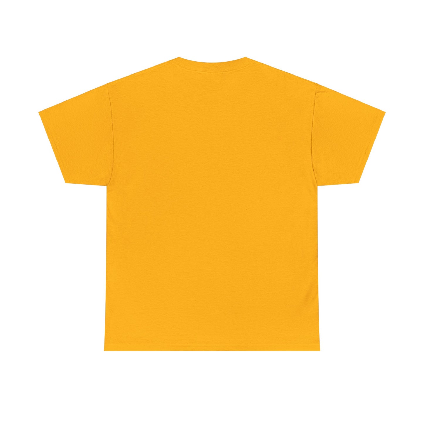 Everyday Above Ground Is A Blessing & A Lesson - Heavy Cotton Tee