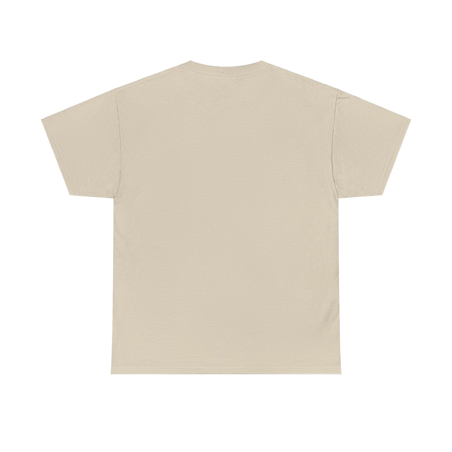 Everyday Above Ground Is A Blessing & A Lesson - Heavy Cotton Tee