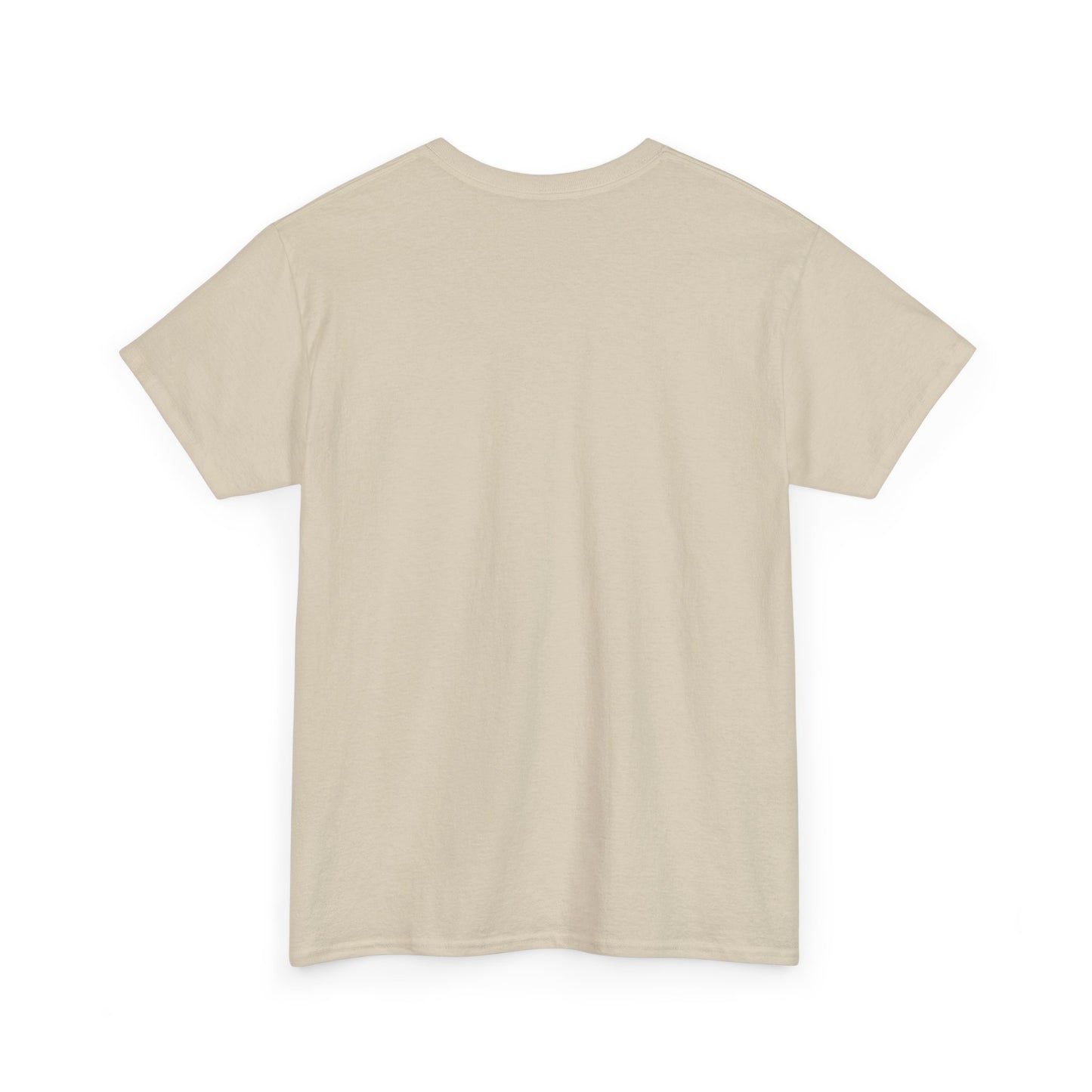 Everyday Above Ground Is A Blessing & A Lesson - Heavy Cotton Tee