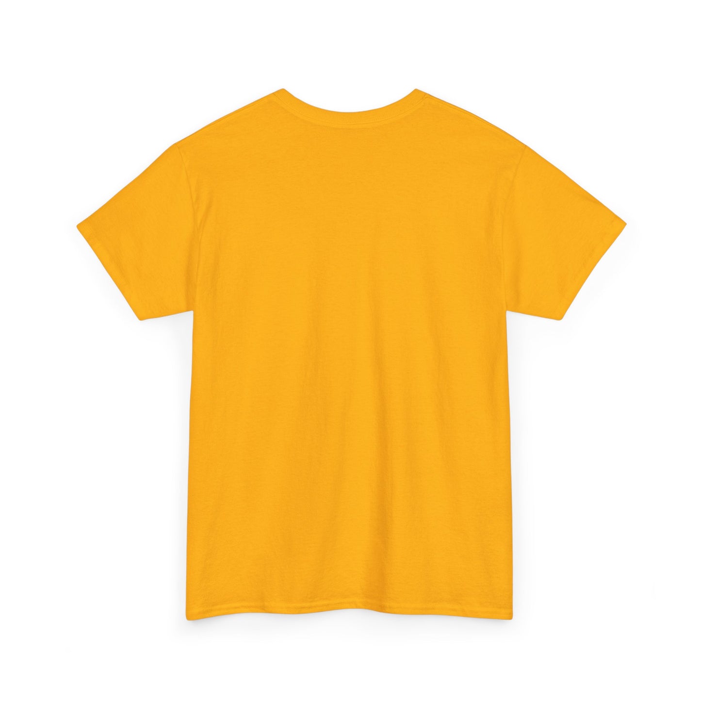 Everyday Above Ground Is A Blessing & A Lesson - Heavy Cotton Tee